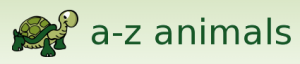 A-Z Animals